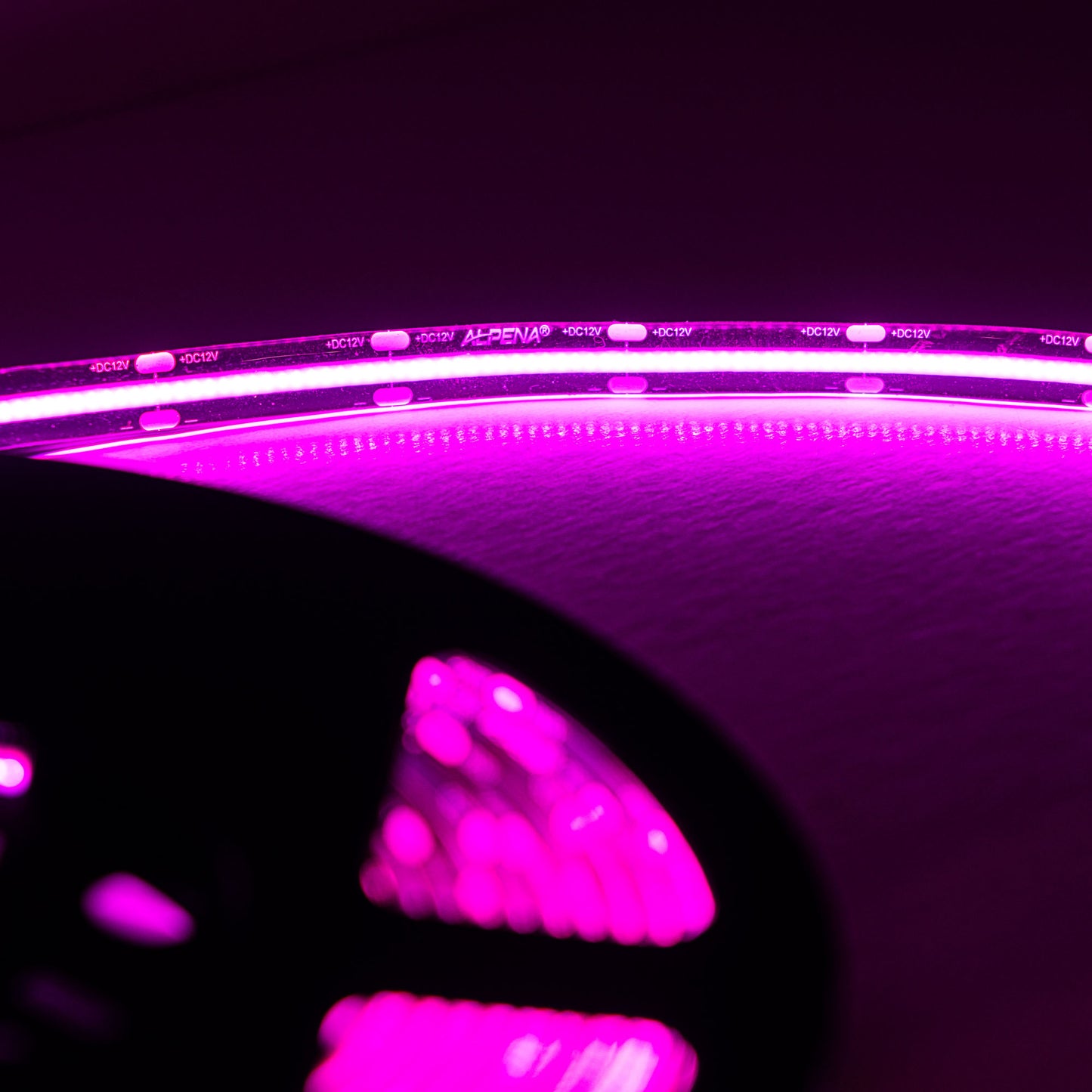 Alpena Ultra LED Strip Roll – 5M | High-Density 512 LEDs/m | Cuttable, Waterproof, 12V DC | Car Interior & Exterior Lighting