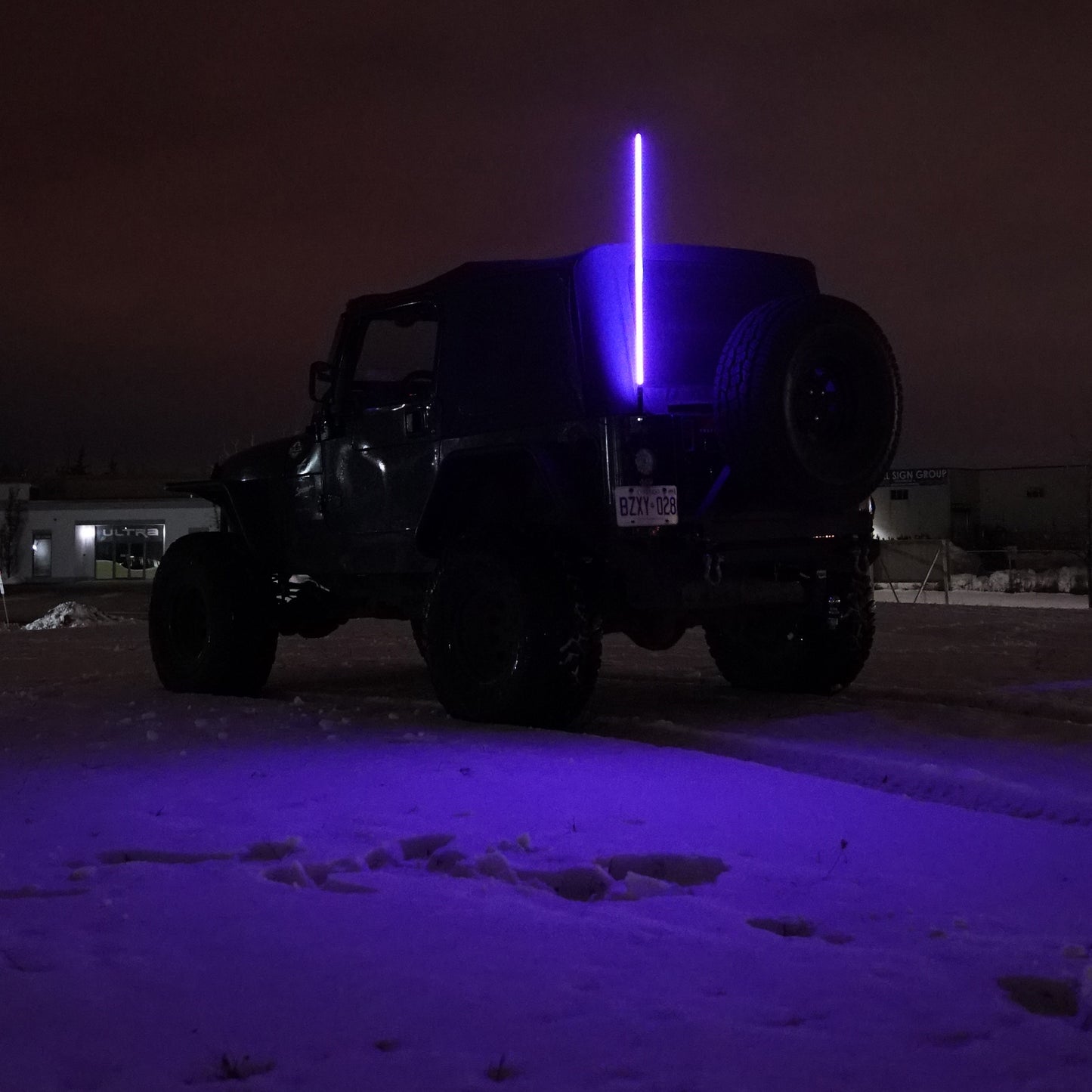 BriteWhip LED Buggy Whip RGB Pole Light