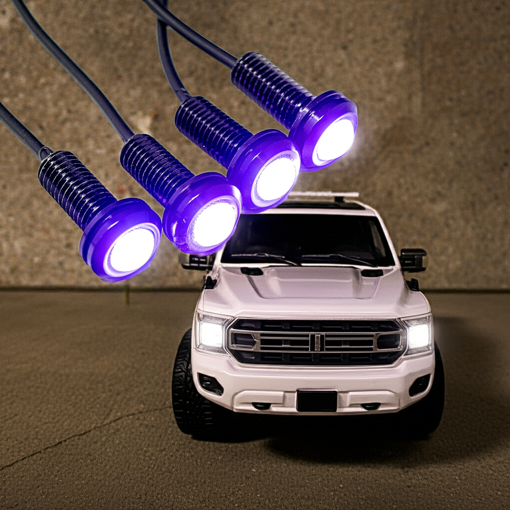 Accessories & Bulbs