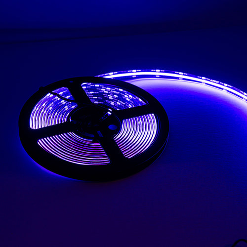 Alpena Ultra LED Strip Roll – 5M | High-Density 512 LEDs/m | Cuttable, Waterproof, 12V DC | Car Interior & Exterior Lighting