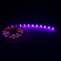 MAX Bulk Roll LED Strip - 5M / 196in